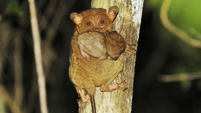 �� ����� �� ��� ����� ��������?