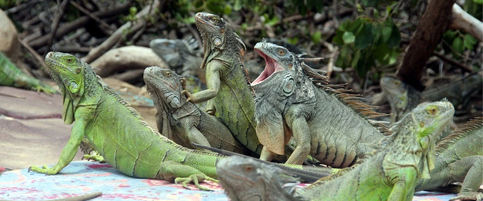 � ������ ��� ����� �� ��������� �������? �� ��, ��� �����!