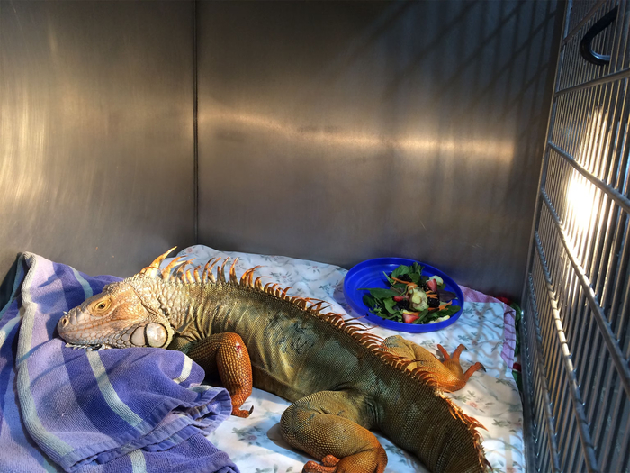 � ������������ ������� ��� ���� ����� � ������ � ����� ������ �� ���...