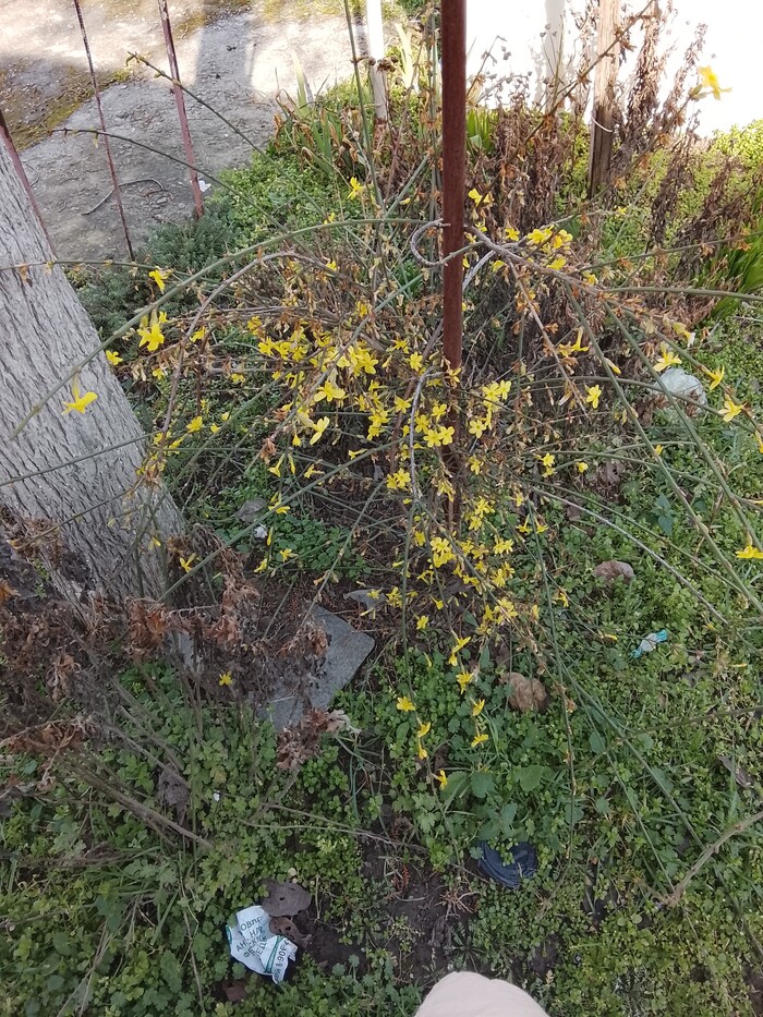 �� ������ ��� ����� ���-�� ���������