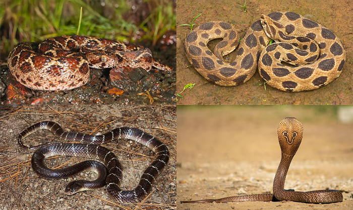 ��� ���, ����� �������: �������� ���, ������ �������, ������������ ����� � ����������� �����.