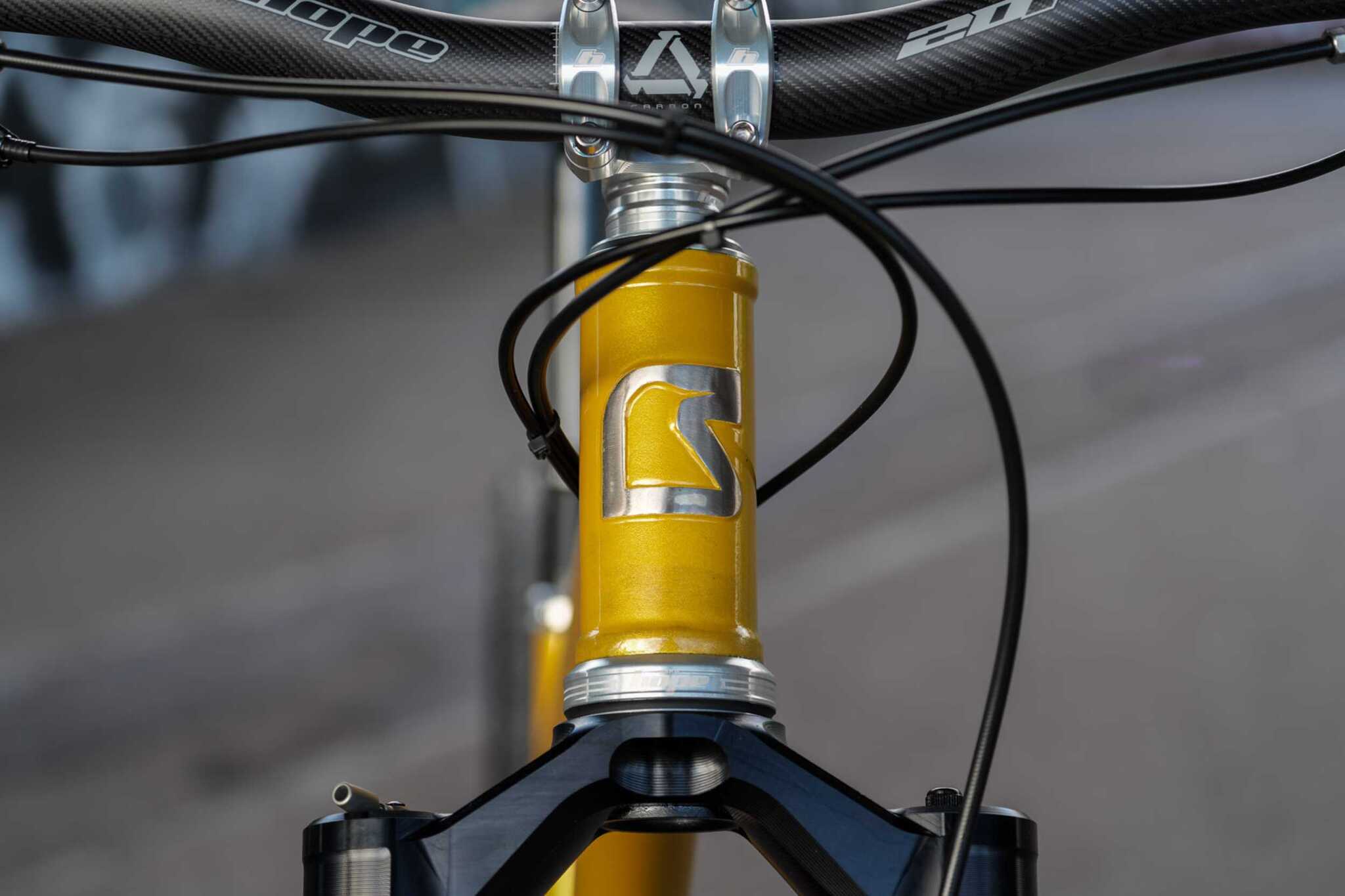 Starling Cycles Big Bird - A bike, Cycling, Mtb, Steel, The photo, Longpost