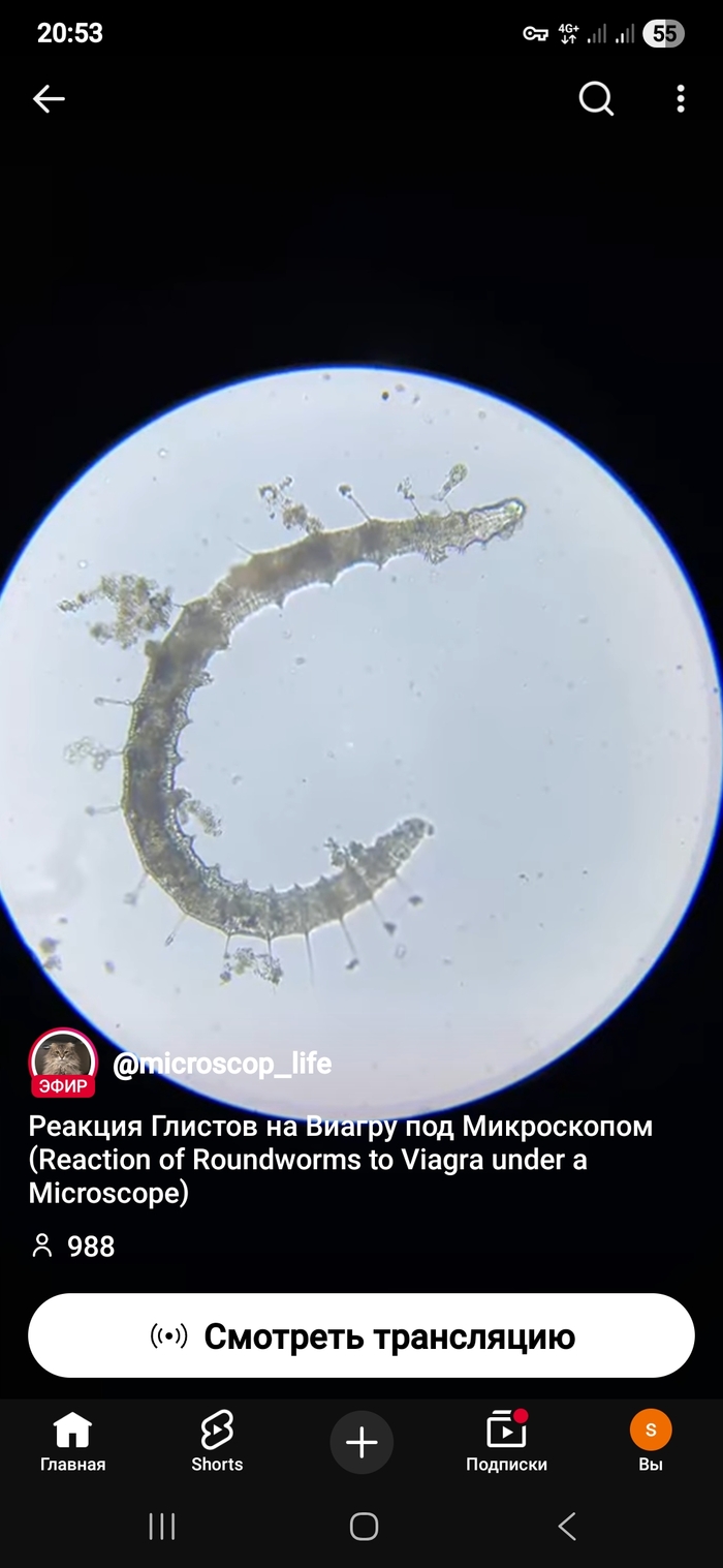 Жена подозревает, что я вечером переписываюсь со шл@хами