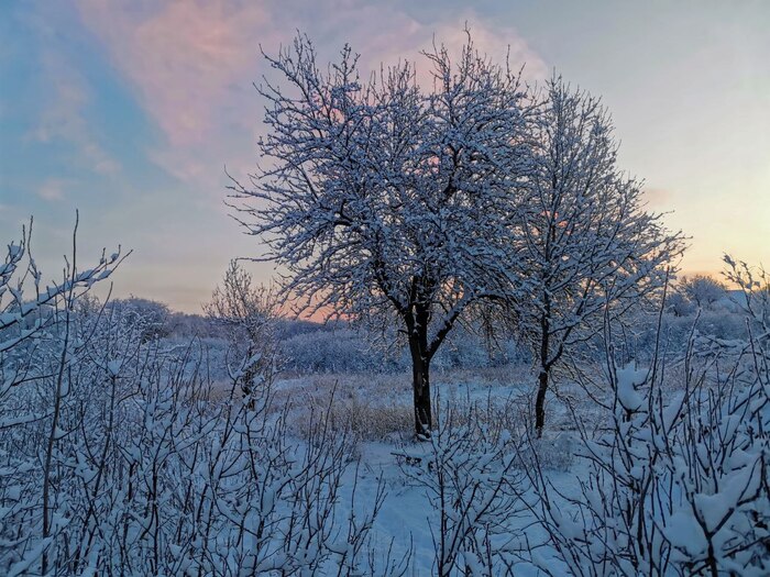 �������� ����