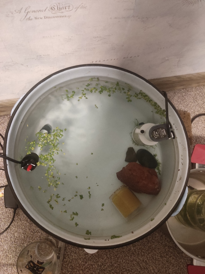 �������� �� ��������: ����� 2