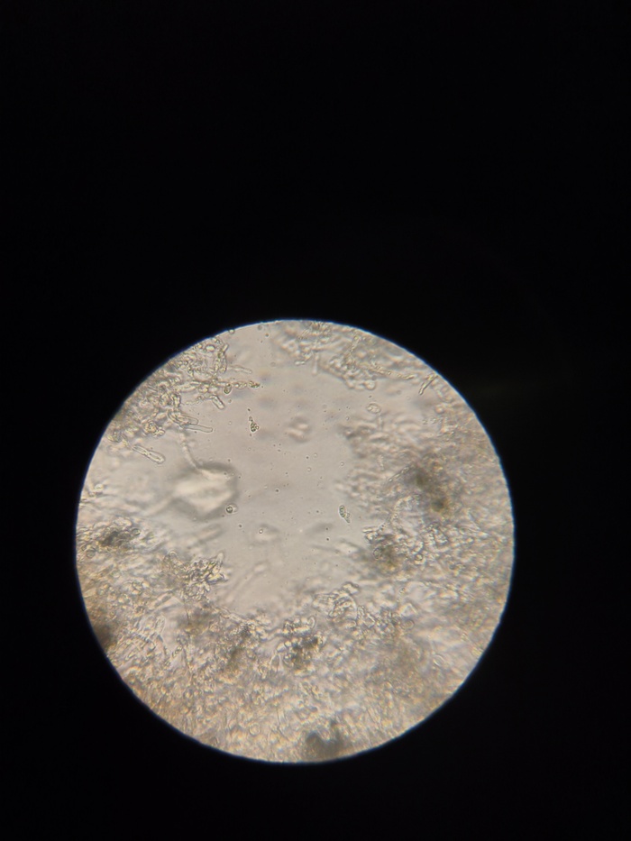 ���������� 640 ����