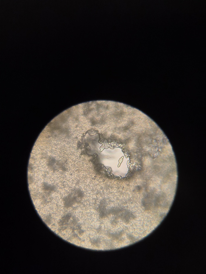 ���������� 640 ����