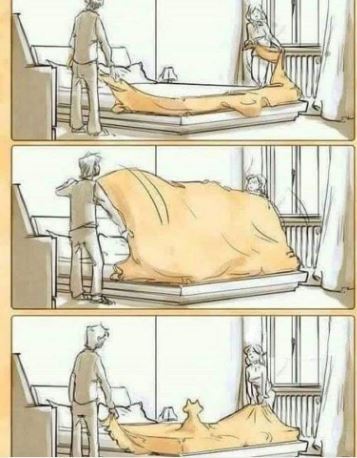 � �� ����� ������ ����