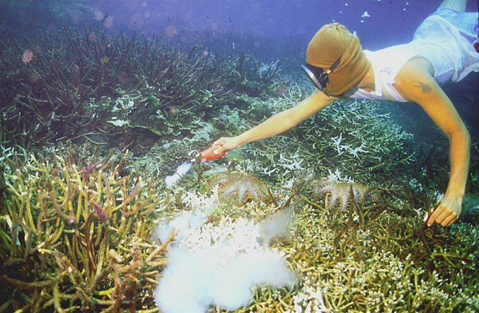 ������ ������ � ����.