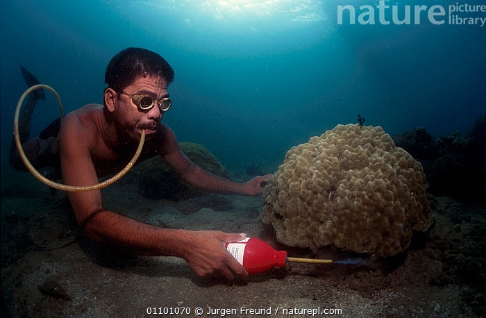 � �������� ��� �������� ������������� ����������, ������� �� �����. ���, ��� �� �����.