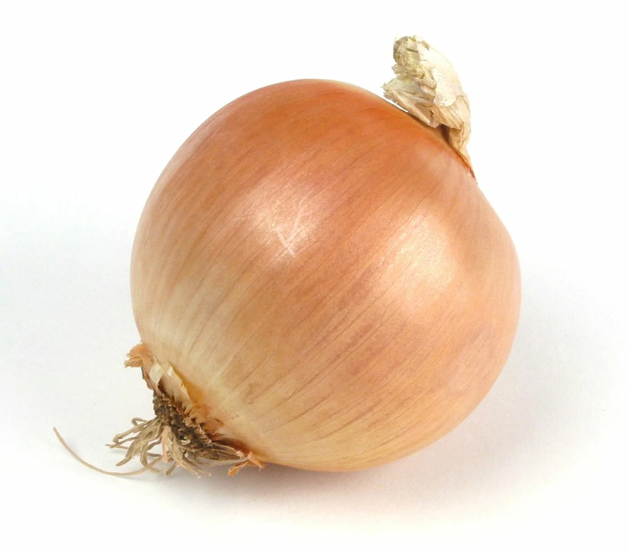 ������� ���������: ����� ������ ����������