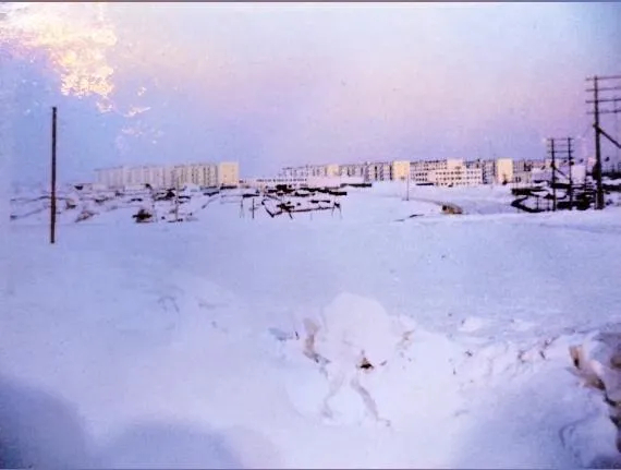 ����� ����