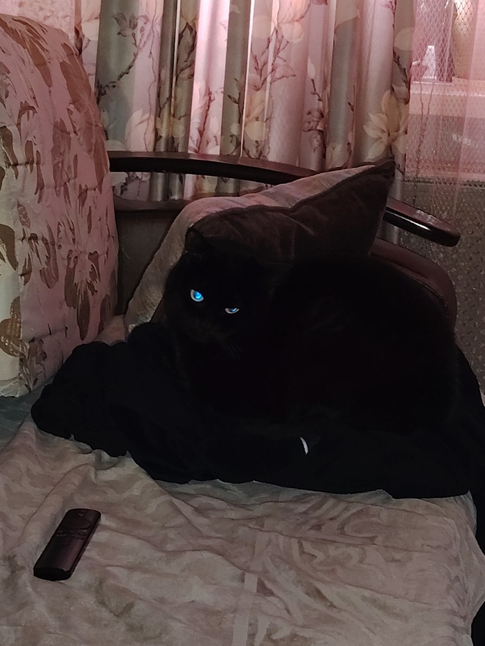 ���� ����...