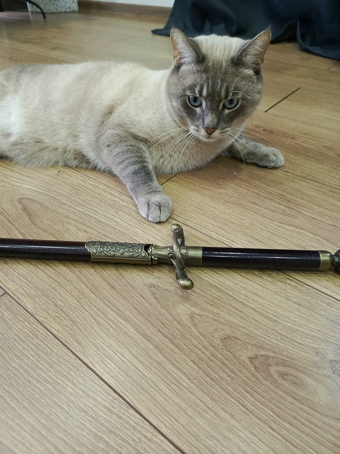 ����� "����" - ������ ��� ����