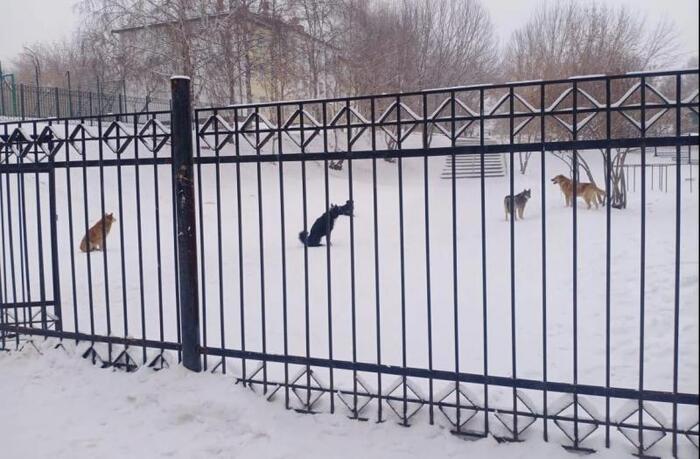 ������ � ����� ������