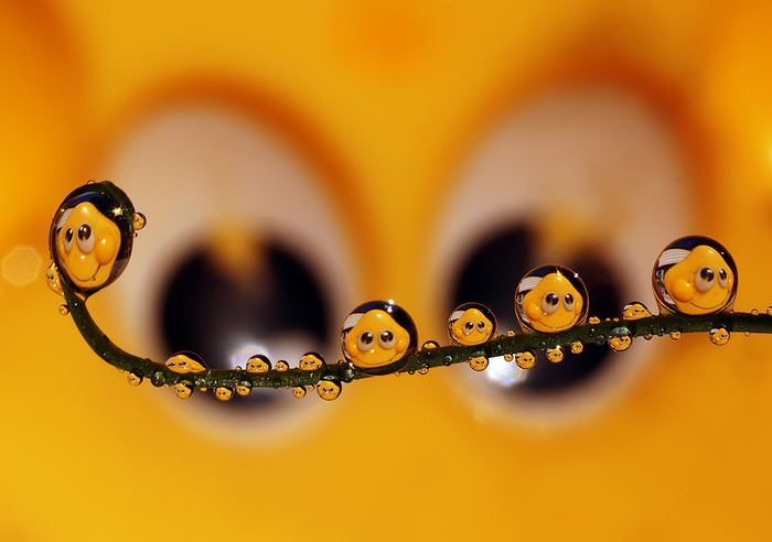 � ������ ��������� �������, ��� �� �� (���������� ��� ��� ��� ��� ����� ����� ������)