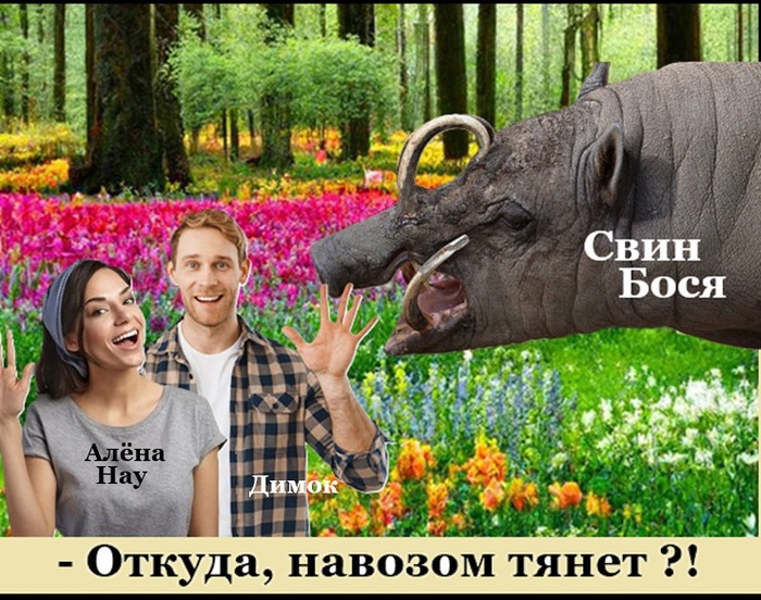 ������ ?