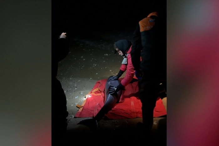 ����: ����� ������������ ��������� ������������ ����