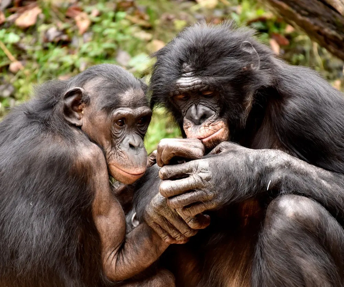 ����� ��������� �������� ������� �� ������ �������� �� ����, �� ������ � ���� �� ���������...