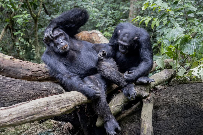 �� ������ ��������� ����� ��������� �������� ��������� � ������������ ���� � ����� ������.