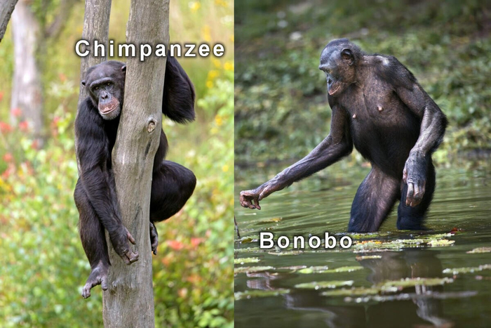 ���� �� �� �������, �� �� ���� �� �������� �������.