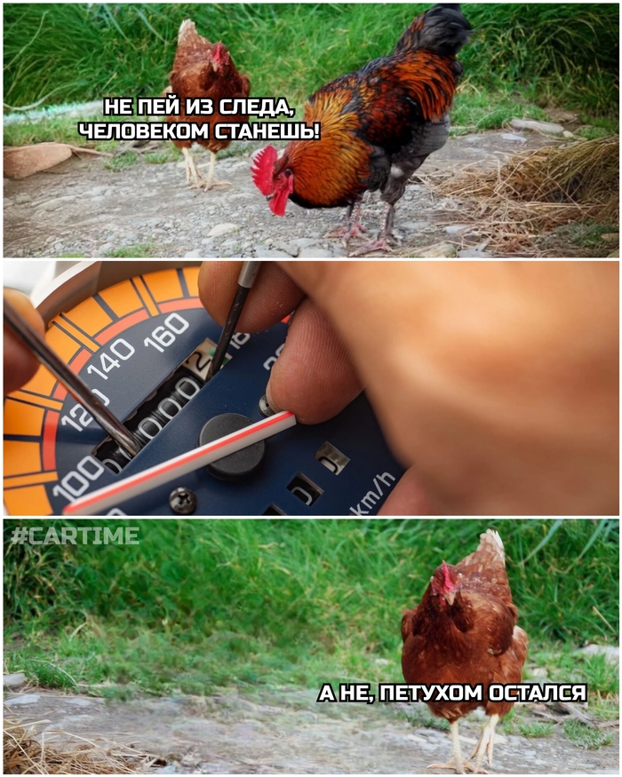 ������ ��������