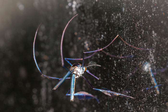 ����� ������� ����� � ���������.