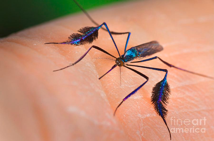 ��, � �� �� ��� �������� ����� ������, �?