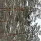 ������ ������������ user11162677