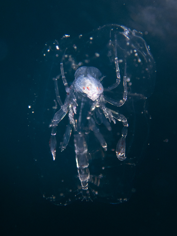 ��� ������, ����� ������, ����� ���������� ���� ������ ������������ ��. �� ����� ��������� ��������.