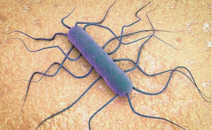 ��� ����� ������? (����� 4)