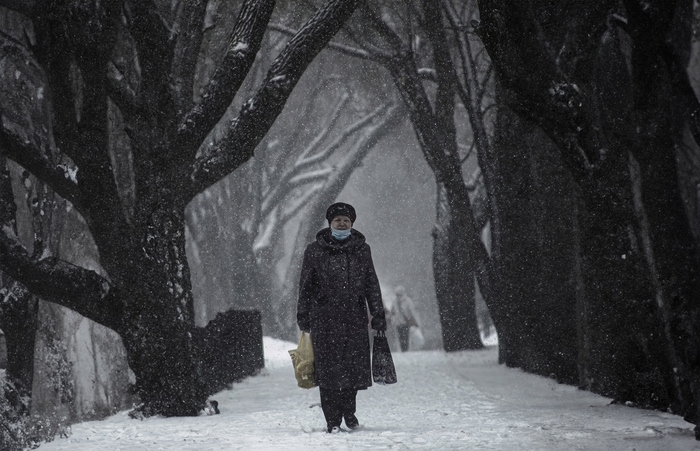 ������ ����