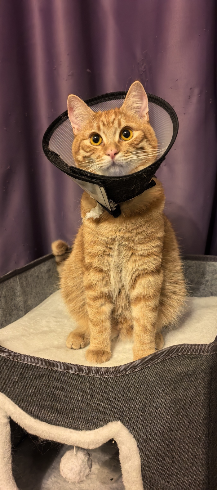 На фоне своего творчества