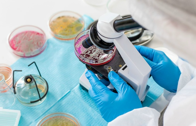 ������������ �������������