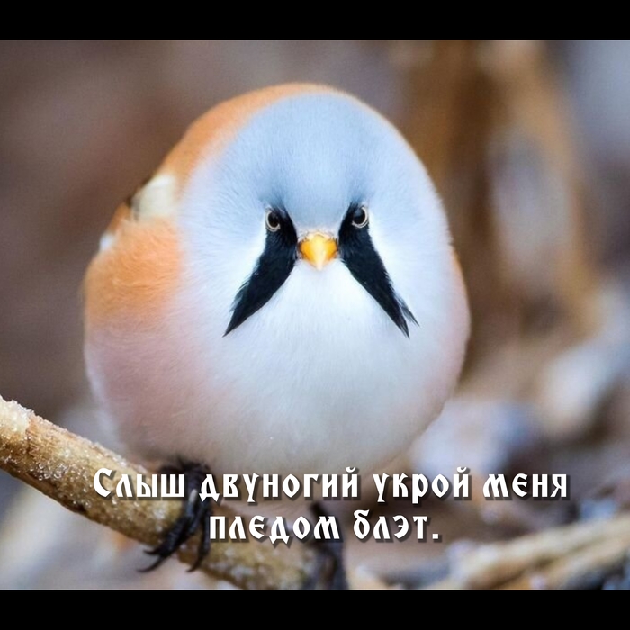 ������ ������ ���� ������... �� ��-��.))) 