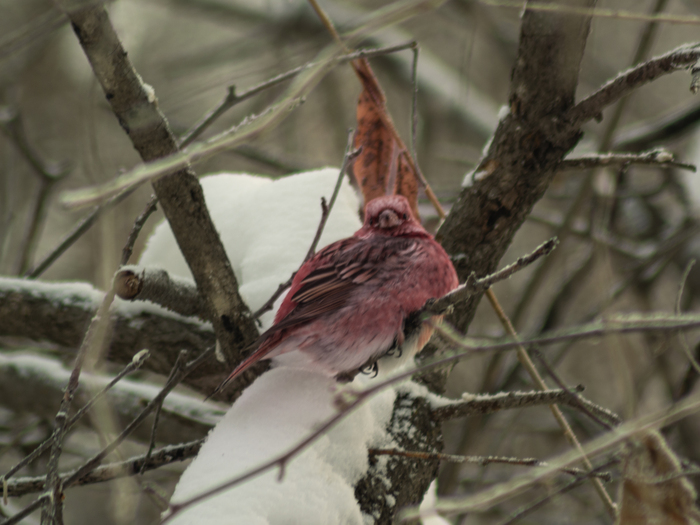 ������� �����, �� ���-�� ����������📸