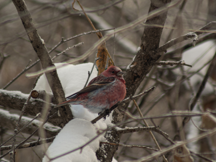 ���������� ����📸