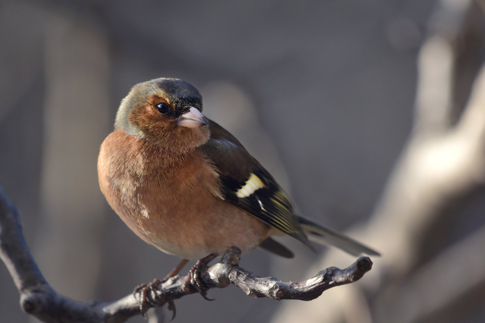 ����: ��������� ����������� <a href="https://pikabu.ru/story/zyablik_13726565?u=https%3A%2F%2Frtraveler.ru%2Fphoto%2F1481638%2F%3Feditorial_photos%3D1&t=%D0%BE%D1%82%D1%81%D1%8E%D0%B4%D0%B0&h=738a3c81da9cab7d019f8fd407bdccdb9cef5143" title="https://rtraveler.ru/photo/1481638/?editorial_photos=1" target="_blank" rel="nofollow noopener">������</a>