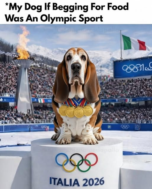 ��� ������, ���� �� ������������ ��������� ���� ����������� ����� ������.