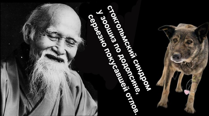 ������� ��������?