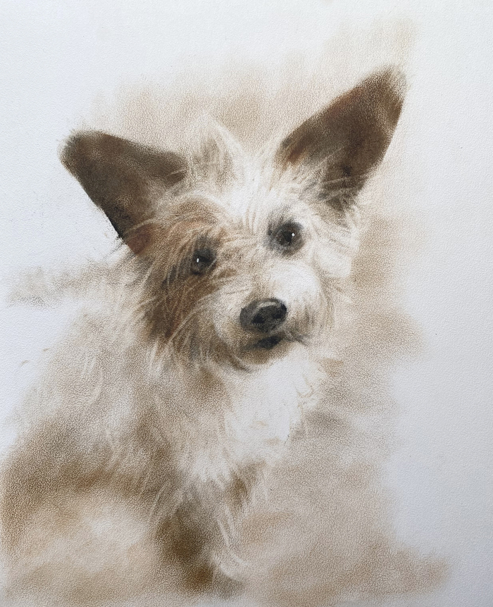 �������