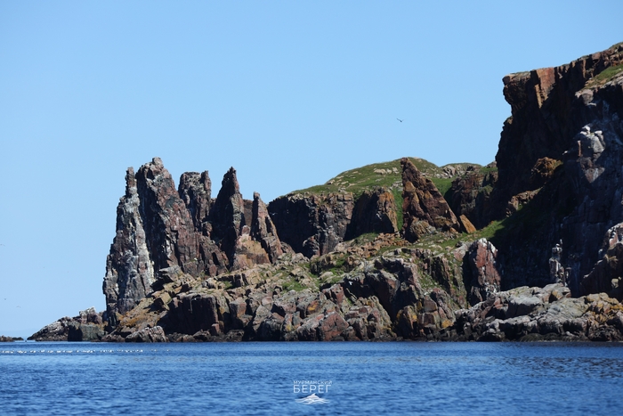 ���� ��������