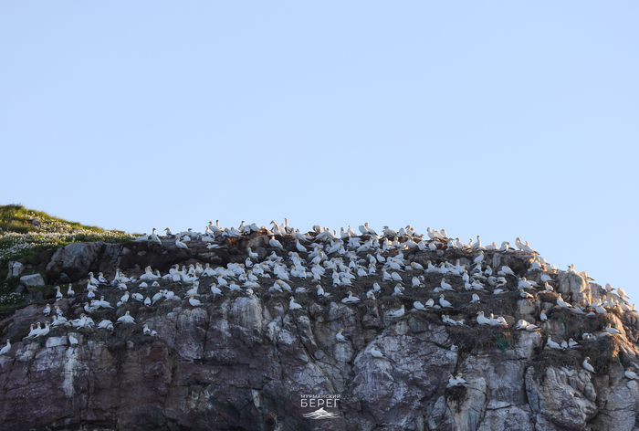 ������� �������� ������