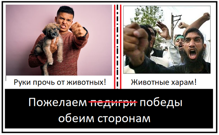 Если в Госдуму будут баллотироваться только эти две партии, ты всё равно пойдёшь голосовать?