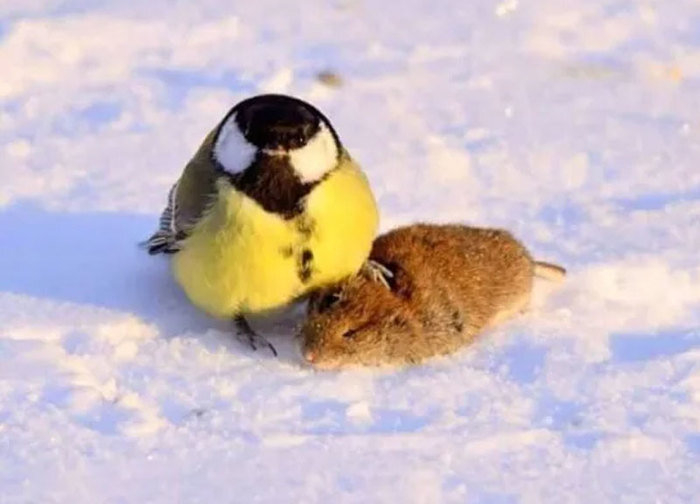 Ты следующий.