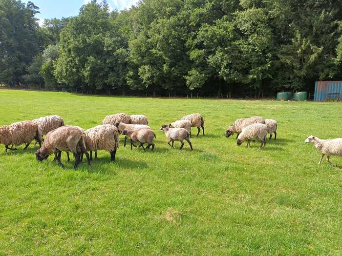 � ��� ��� �������� ����� �����