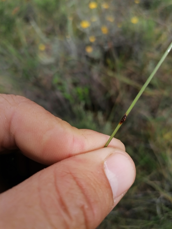 ��� ��� �������� ��������� �����: ����� ���������, �� ����� �������. �������� � ������� ������ �������� ������.