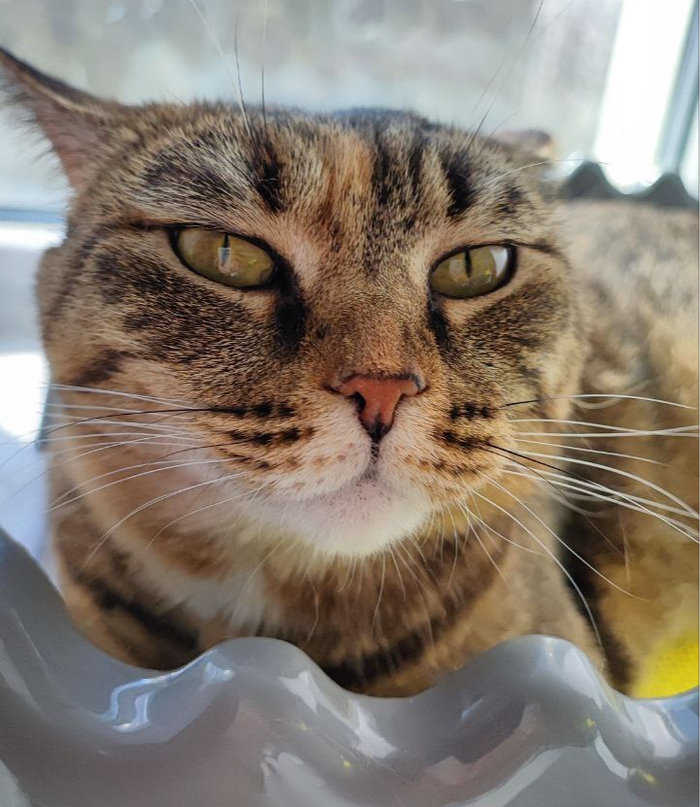 ���� �����-�� ���������� ������