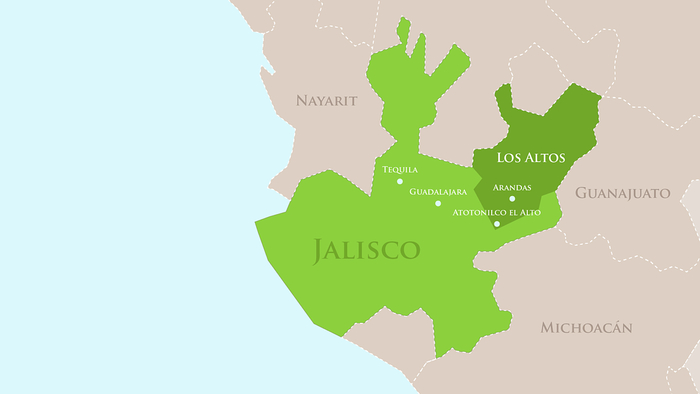 ����� ������ ������� ��� ������������� ������� ����� ��������� ����������� (��� ������/Los Altos)