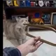 ����� ����� ������ ���� �����������